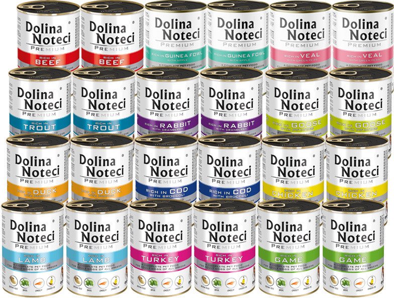 Dolina Noteci Premium mix smaków 24x400g