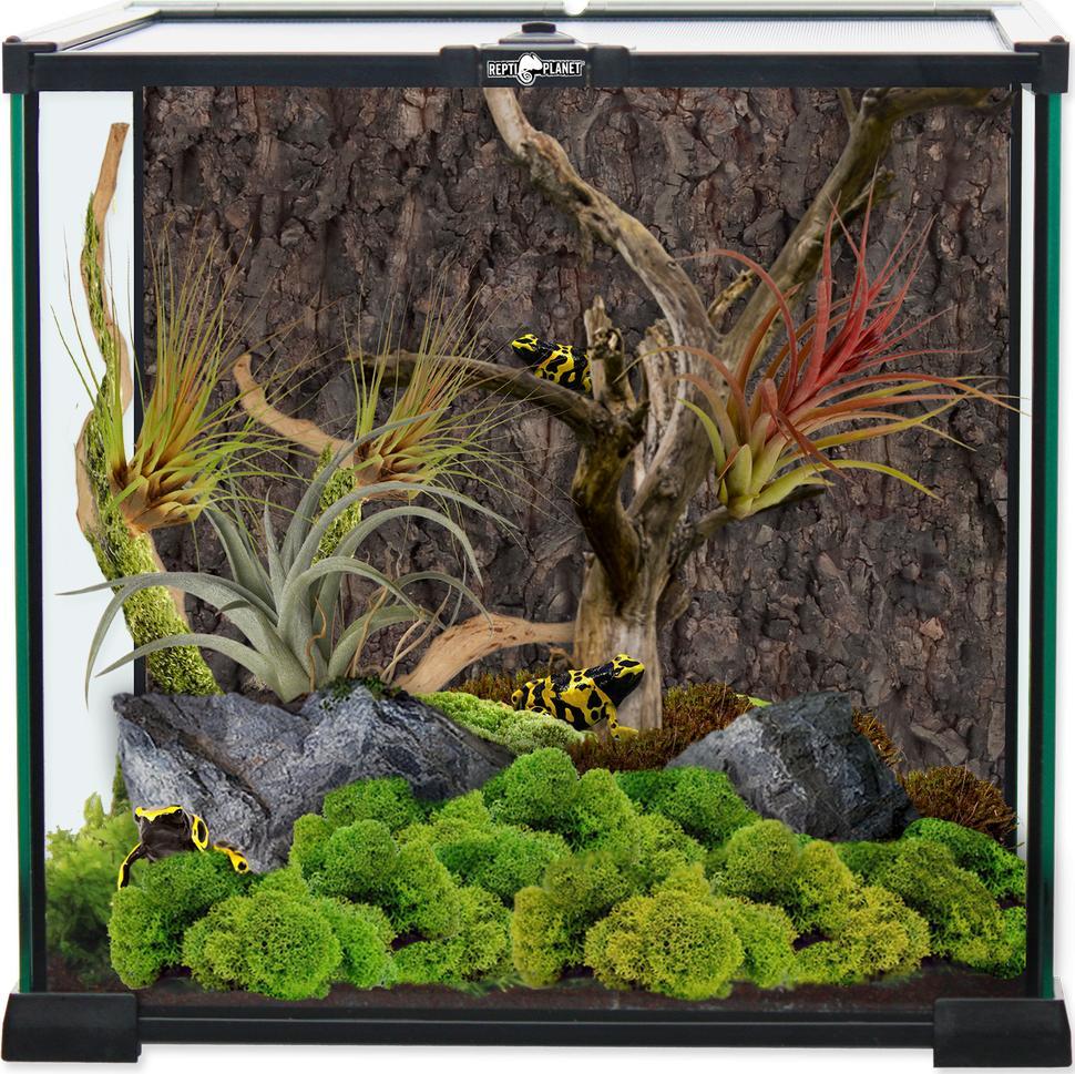 REPTI PLANET REPTI PLANET terrarium szklane 30x30x30cm