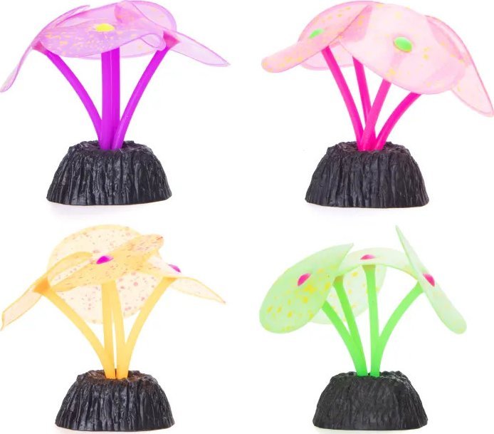 Nobleza Odblaskowe rośliny wodne Odblaskowe rośliny wodne