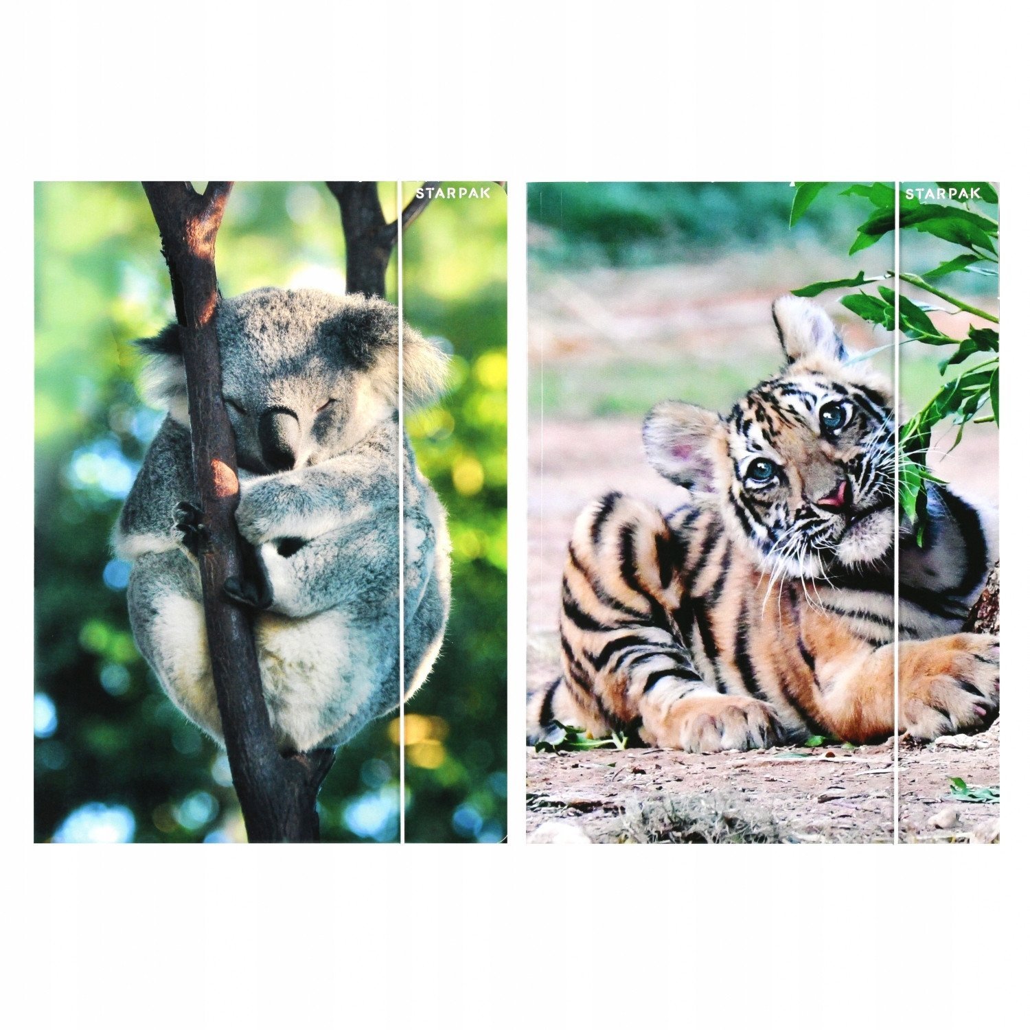 TECZKA Z GUMKA PAP A4 WILD ANIMAL2 STK FOL10/100