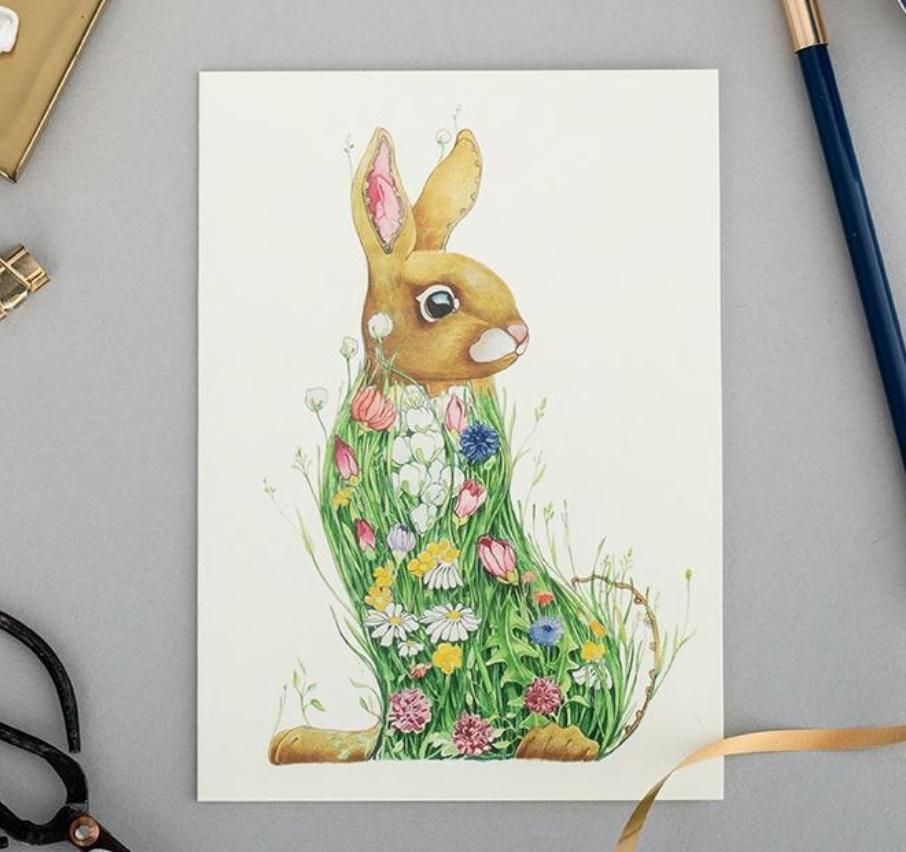 DM Collection Karnet A082 B6 + koperta Królik na łące