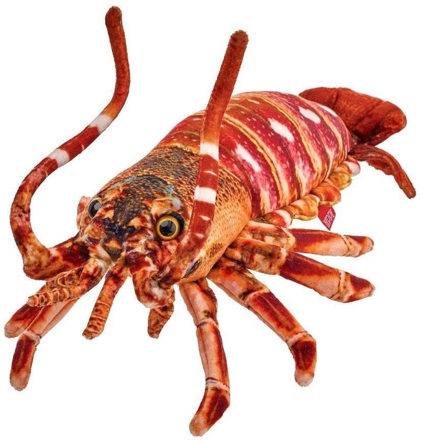 Homar 33cm