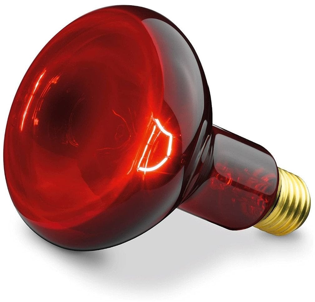 Infrarød pære 100 W