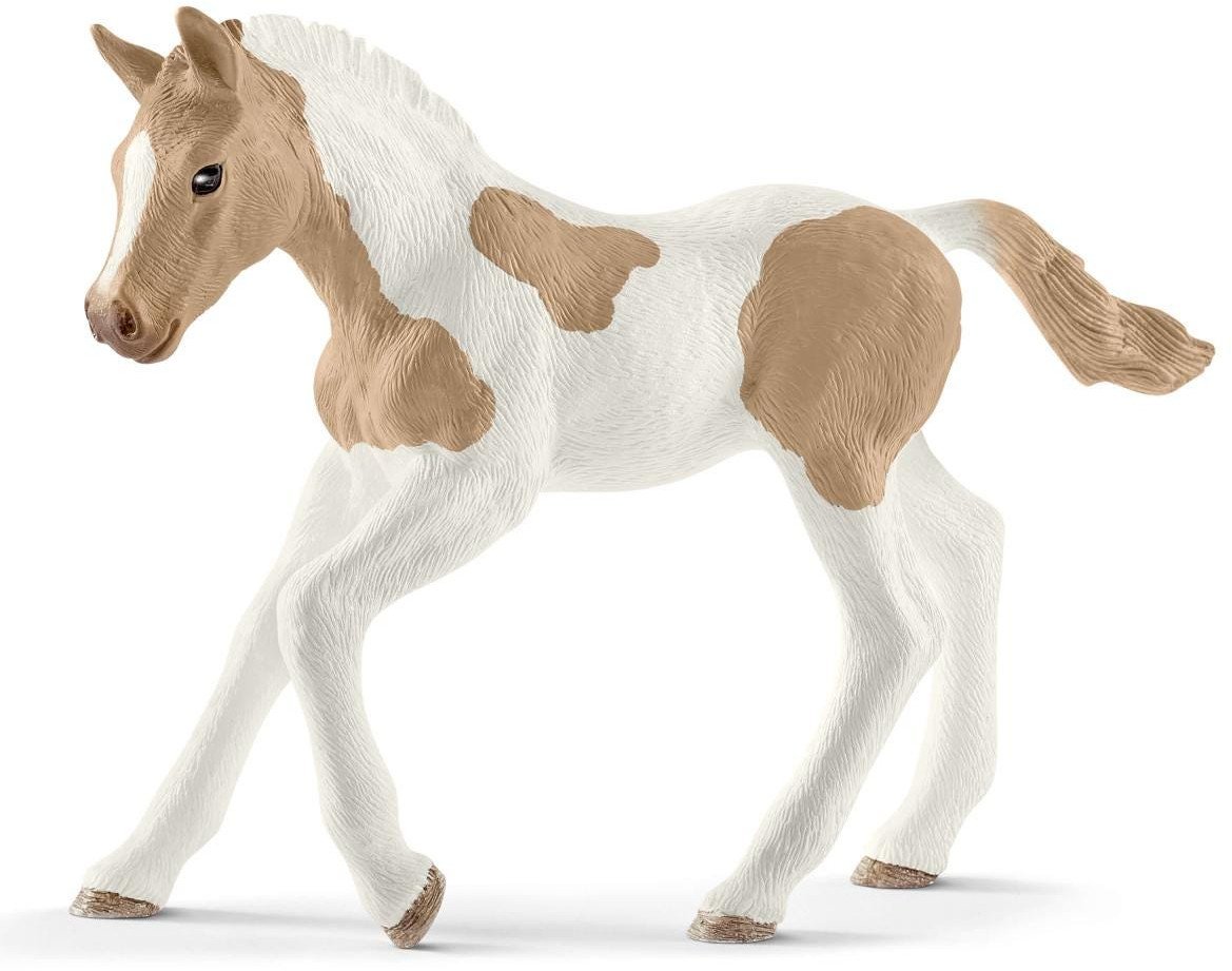 SLH koń Paint Horse źrebię 13886 64068
