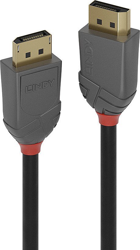 Kabel Lindy DisplayPort - DisplayPort 2m szary (36482)