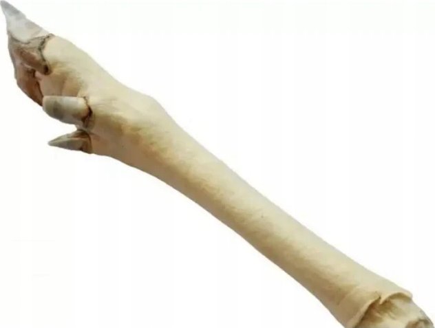 Arami ARAMI B RACICA SARNY BIAŁA 1 szt.