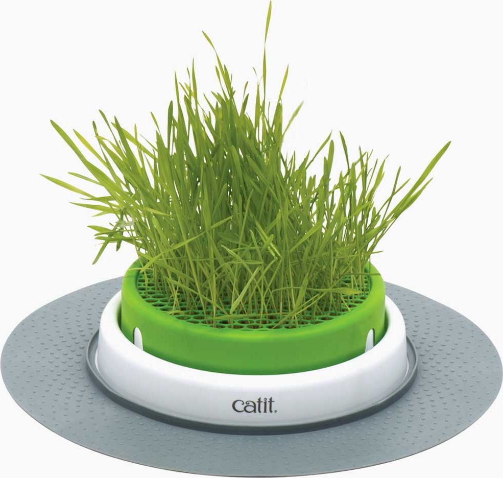 Hagen Zestaw trawa ogrodowa Catit Senses