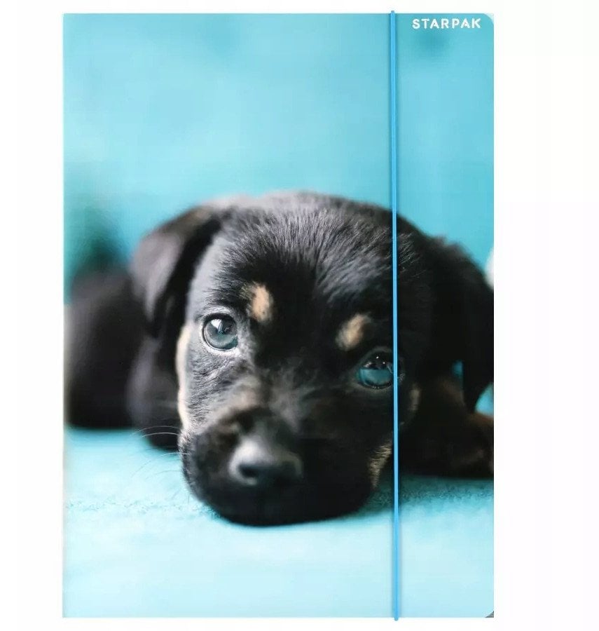 TECZKA Z GUMKA PAP A4 PIESKI STK FOL10/100