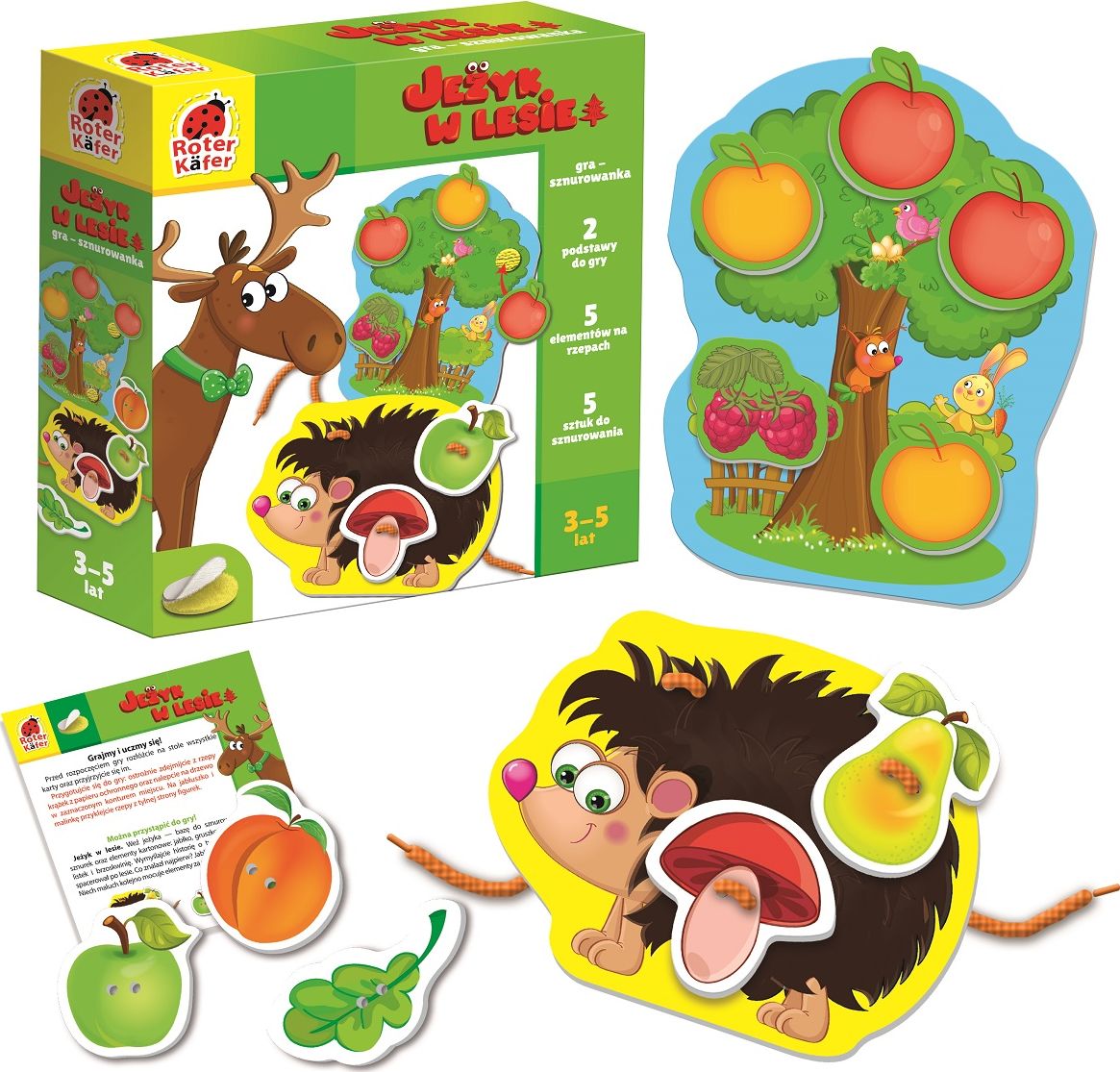 Roter Kafer Jeżyk w lesie