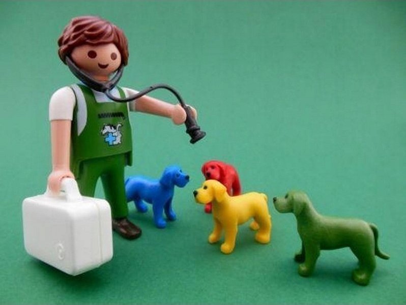 PLAYMOBIL 6411 City Life Veterynary Clinic