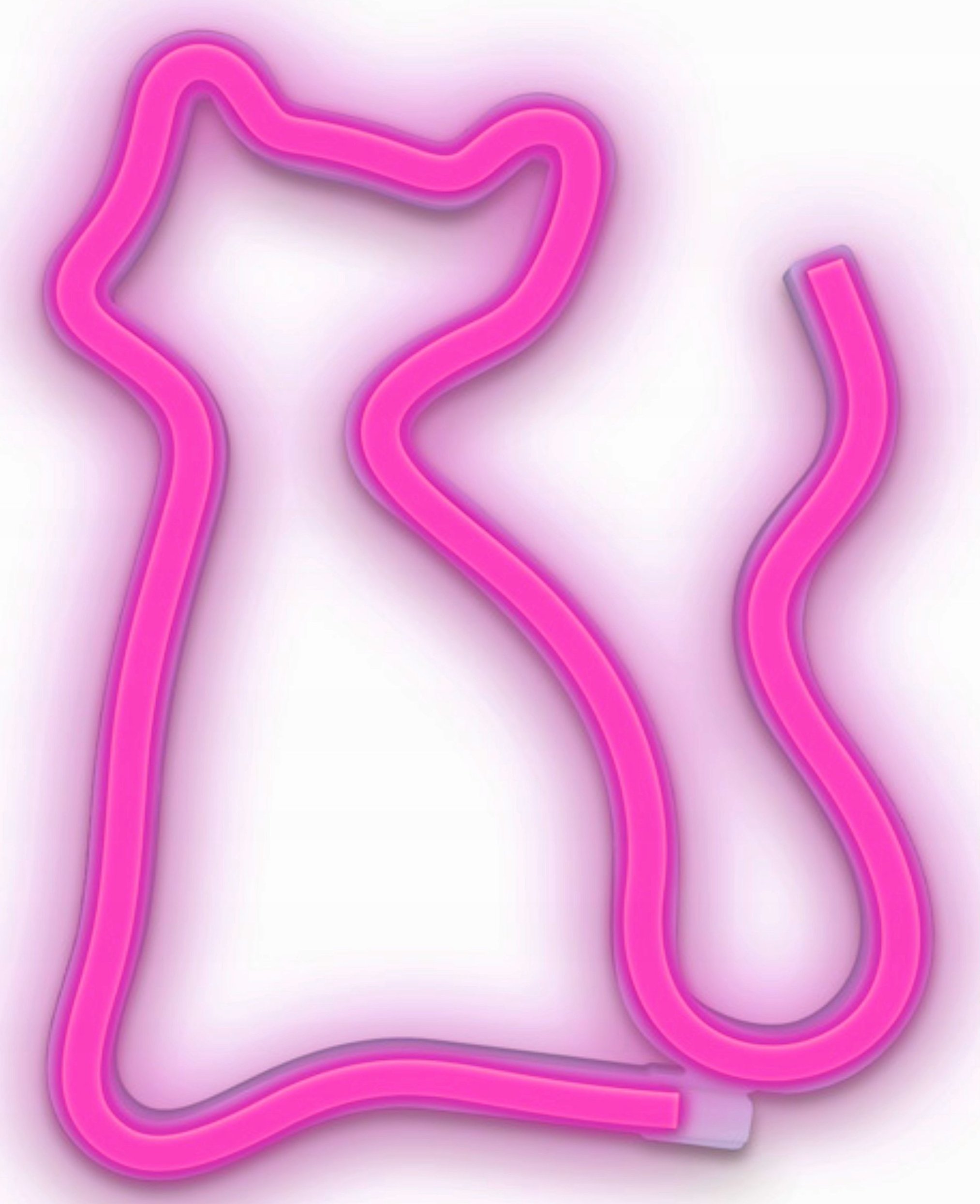 Kinkiet Forever Light Neon LED KOT różowy Bat + USB FLNEO4 Forever Light