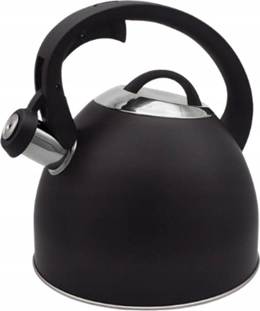 Maestro Czajnik nieelektryczny MAESTRO MR-1325