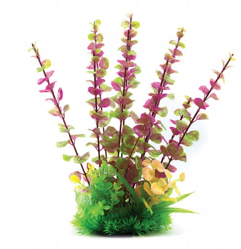 Aqua Natura, roślina, do dekoracji akwarium, fioletowa, plastikowa, 31 cm , długie łodygi i drobne liście