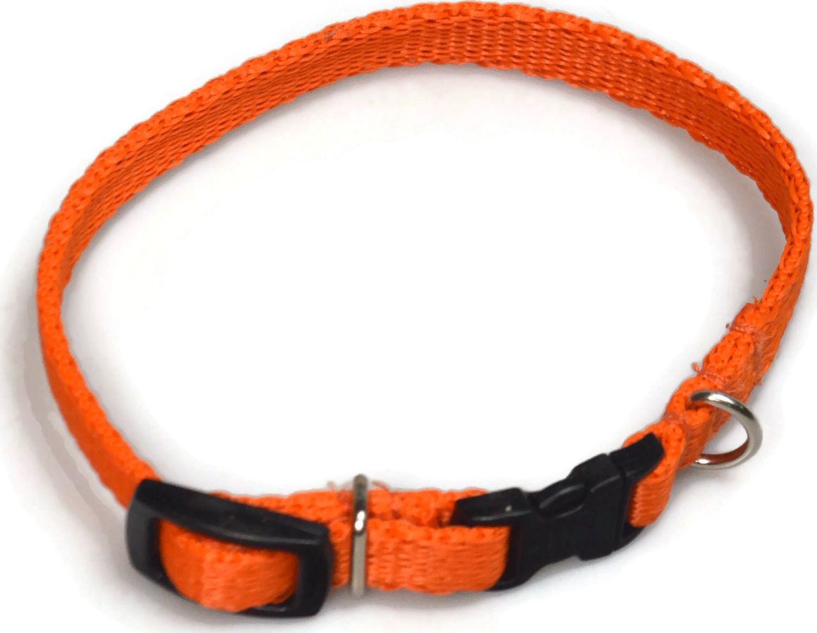 Alizoo Obroża dla psa 10mm/18-29cm - ALIZOO