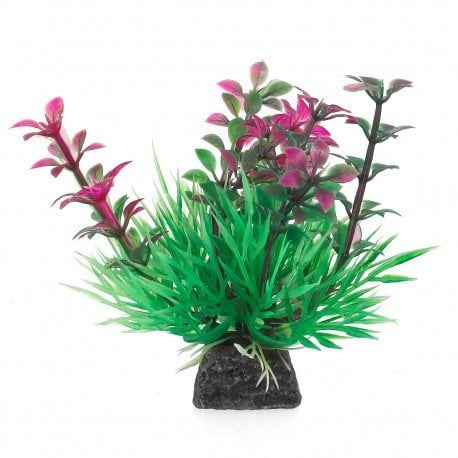 Aqua Natura, ro�lina, do dekoracji akwarium, zielono-r�owa, plastikowa, 10 cm , wzrastaj�ce p�dy i spirulina