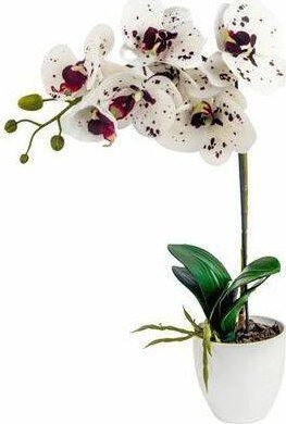 Direct Home and Garden Storczyk sztuczny