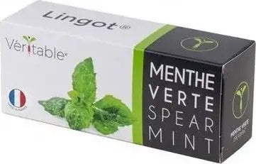 Veritable Véritable Lingot Máta klasnatá