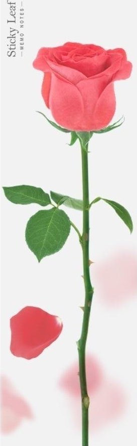 Appree Kartki samoprzylepne pion - róża czerwona