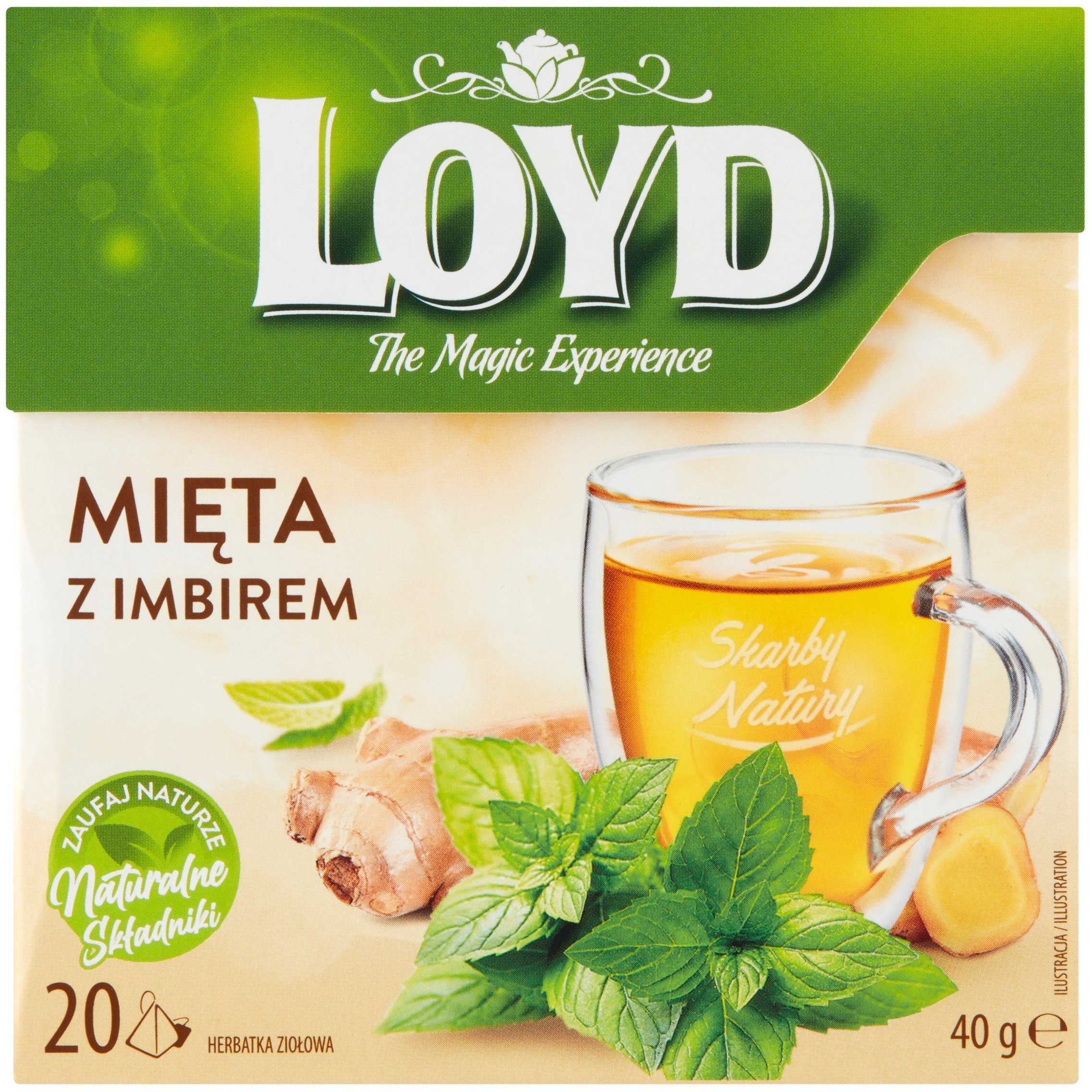 LOYD Herbatka LOYD Mięta z imbirem 20 torebek piramidki