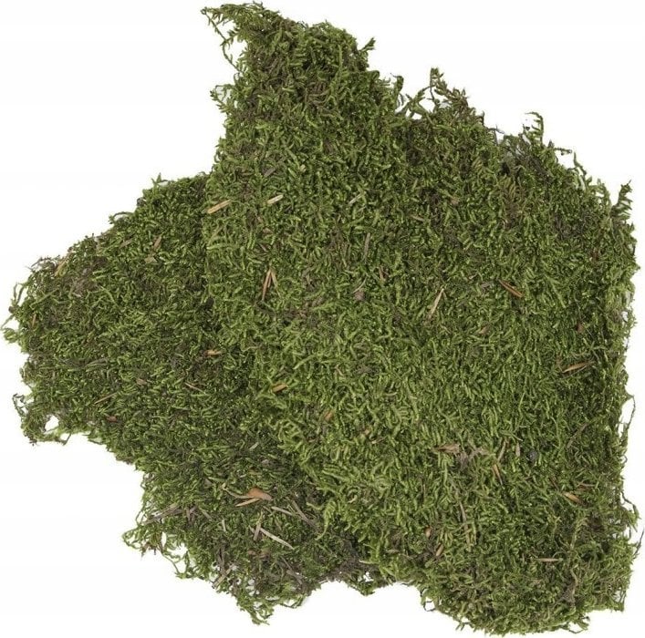 Terra Natura Podłoże do terrarium mech 100g (kraj pochodzenia Turcja)