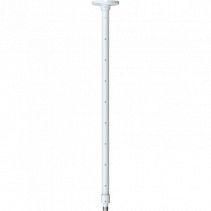 Axis T91B53 CEIL MNT 2P (01189-001)