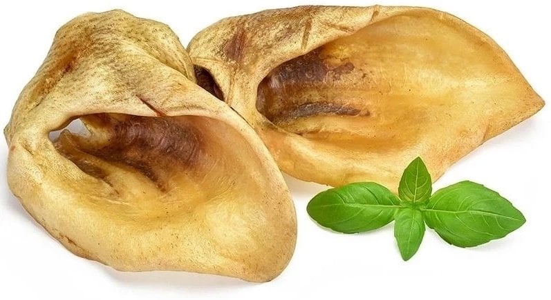 ARAMI C UCHO DZIKA 2szt.