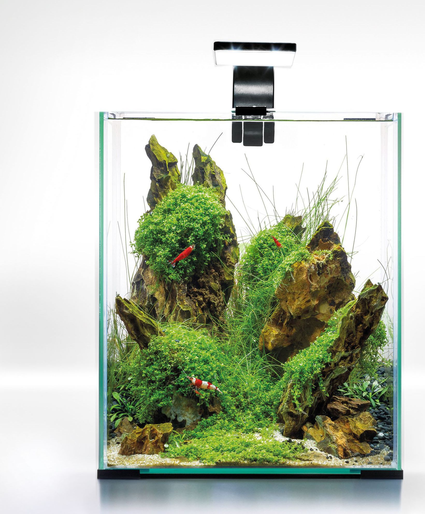 Aquael Zestaw Shrimp Set Day & Night [30l] - czarny