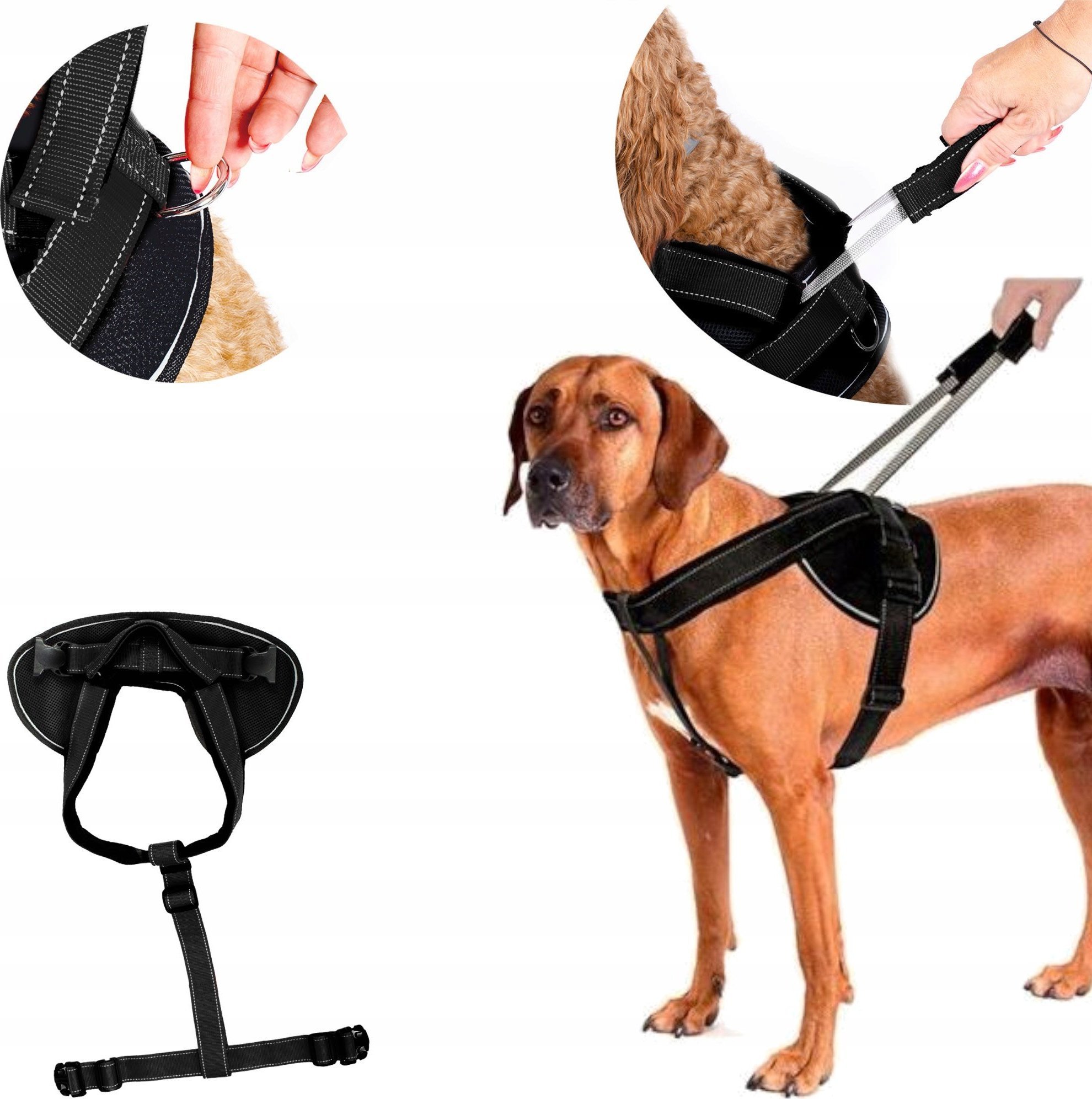Patento Pet Bezuciskowe Szelki Dużego Dla Psa Uchwyt Guard Xl