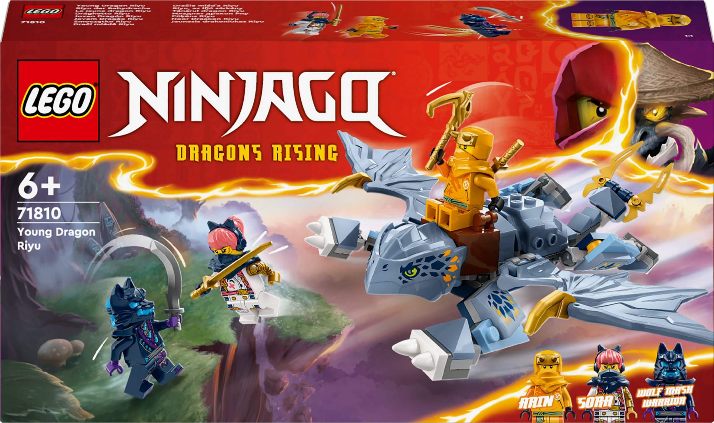 LEGO Ninjago Smoczątko Riyu (71810)