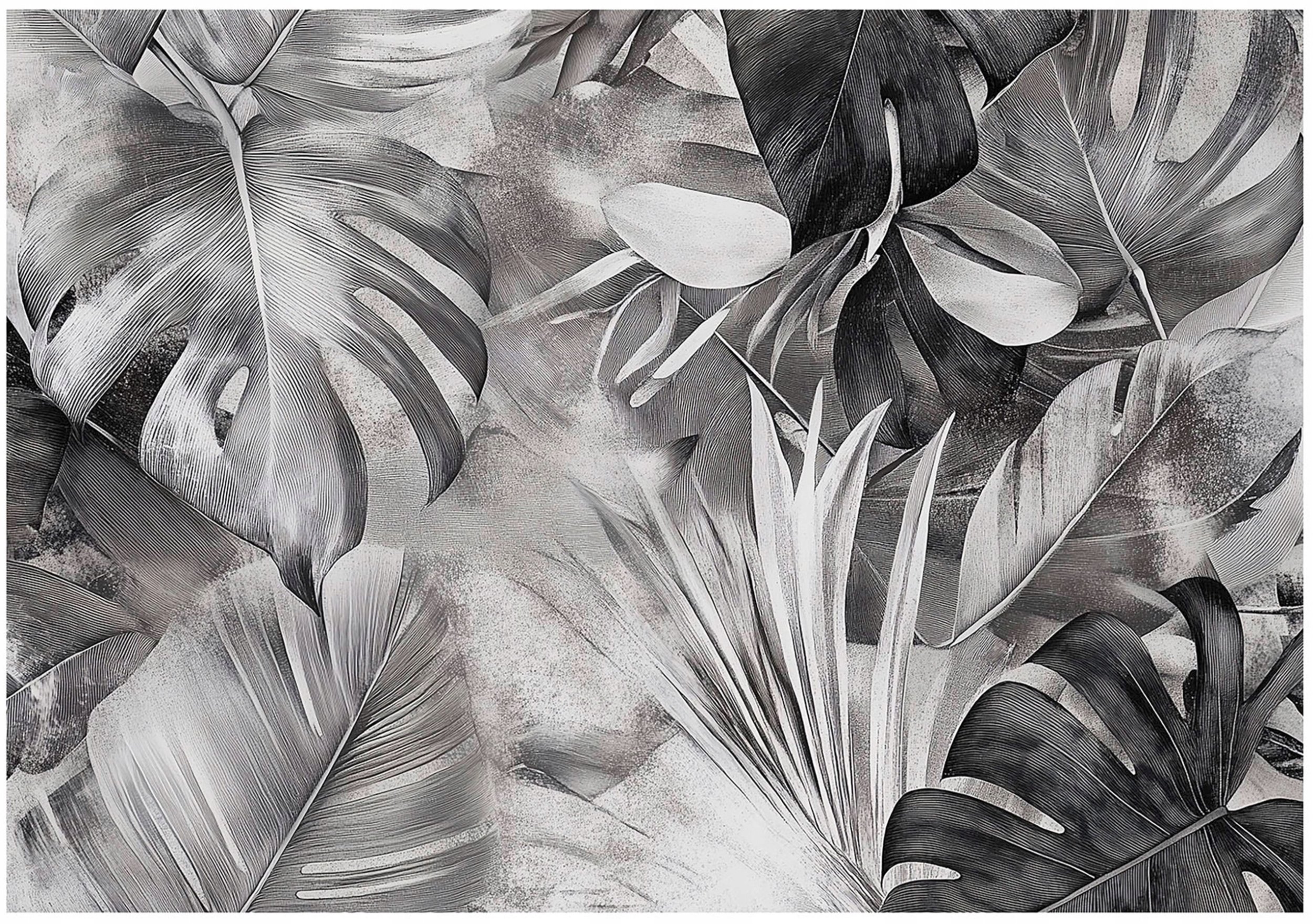 Fototapeta Liście Monstera Czarno Biały Na Ścianę Sypialnia Salon 400X280
