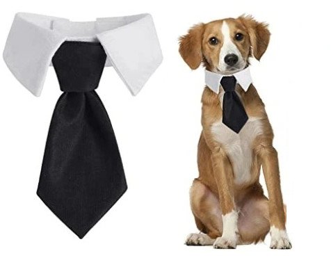KRAWAT DLA PSA KOTA Uniwersalny na rzep ELEGANCKI STRÓJ WESELE rozmiar S