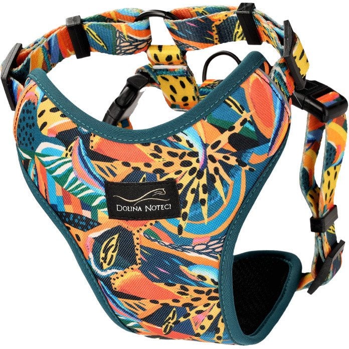 Dolina Noteci Szelki dla psa Guard Comfort Tropikalna Przygoda L