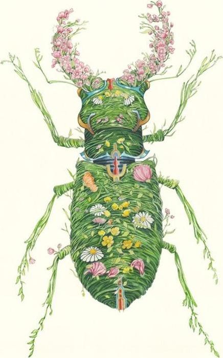 DM Collection Karnet A110 B6 + koperta Chrząszcz