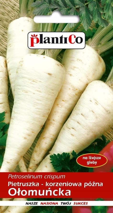 Plantico Pietruszka Korzeniowa Ołomuńcka 5g