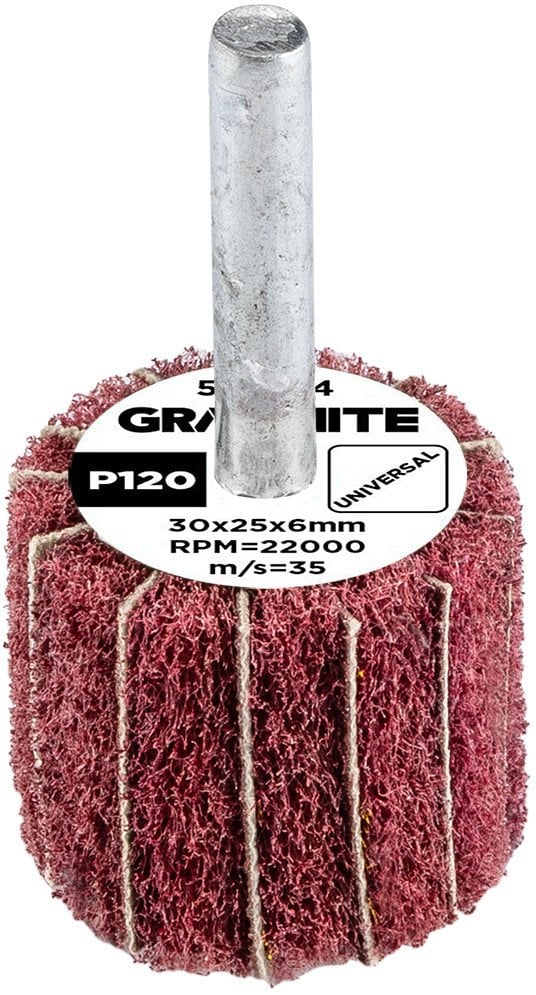 Ściernica listkowa trzpieniowa 30 x 25 x 6 mm, P120