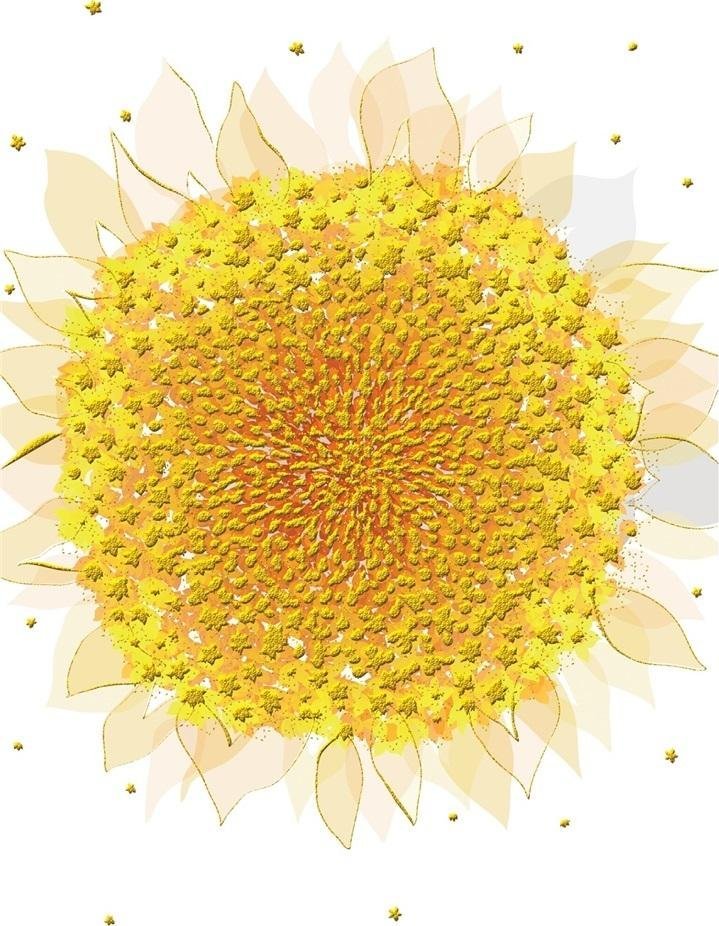 Turnowsky Karnet B6 + koperta MO5516W Słonecznik