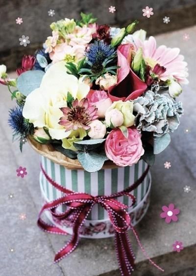 Armin Style Karnet GM-790