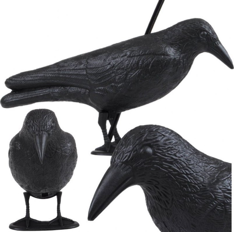 PrzydaSie Kruk Odstraszacz Ptaków Gołębi Szpaków Duży Xxl