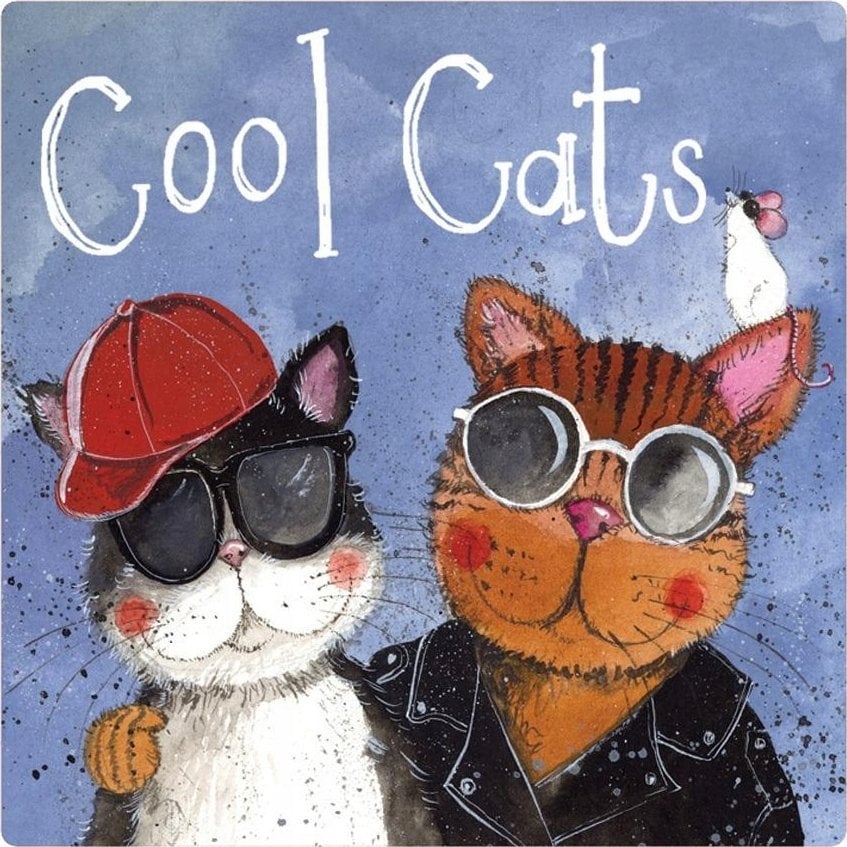 Teka Magnes FM221 Cool cats