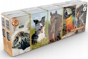 King CHUSTECZKI KING OF ANIMALS 10X10 3W 43046507