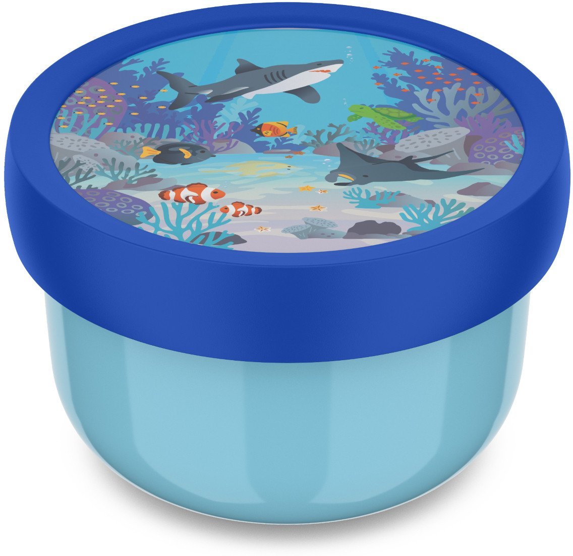 Curver Fruit Box pudełko na owoce Campus 300 ml Tropical Ocean