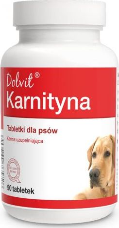 Dolfos Dolvit Karnityna 90 tabletek