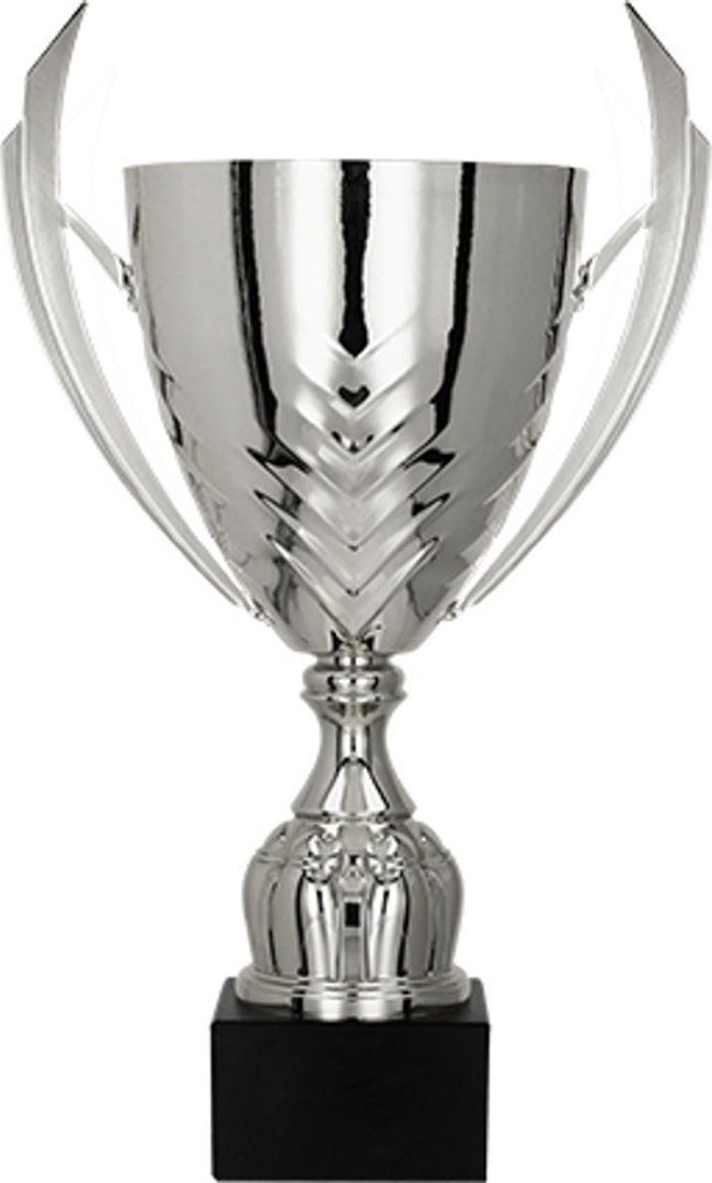 Victoria Sport Puchar metalowy srebrny