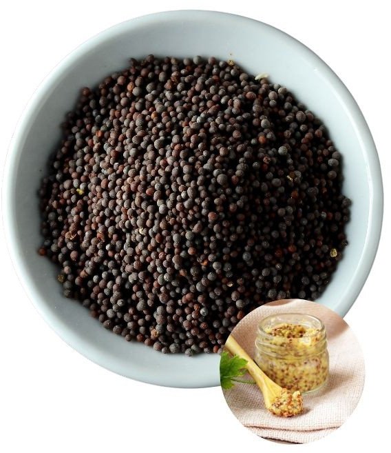 Gorczyca czarna ziarno nasiona przyprawa indyjska do musztardy 200g