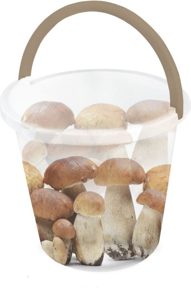 Branq Wiadro 10l Z Nadrukiem Grzyby 1201 Branq BRANQ