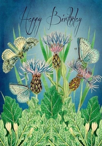 Madame Treacle Karnet B6 z kopertą Urodziny Ogród