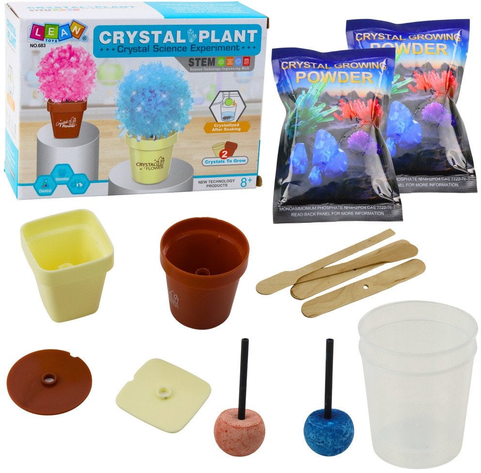 Zestaw Edukacyjny Hodowla Magiczne Drzewko Kryształowe