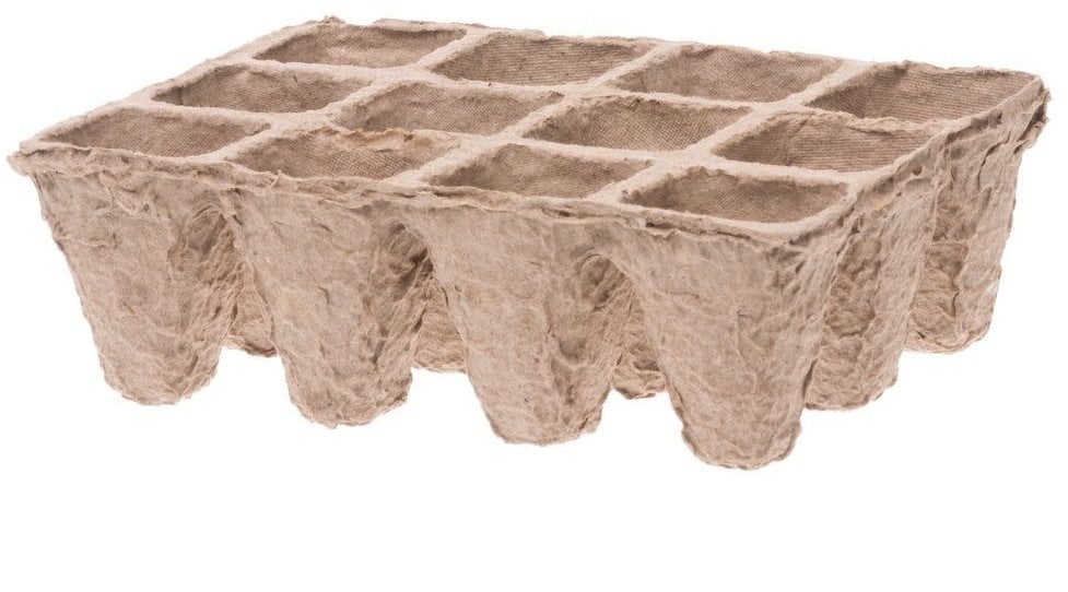 4Living Zestaw do kiełkowania roślin