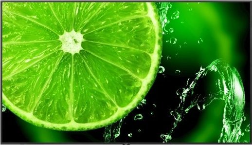 Monitor NEC MultiSync E988 (60005929)