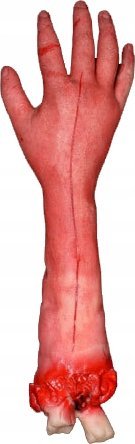 Korbi SZTUCZNA ODCIĘTA RĘKA KOŚĆ DŁOŃ HALLOWEEN HORROR